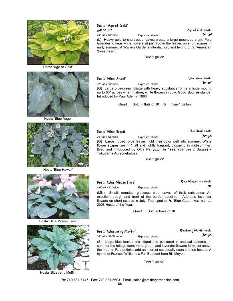 Smith's Gardens Garden Catalog Weekly Ad January 1 - December 31, 2026