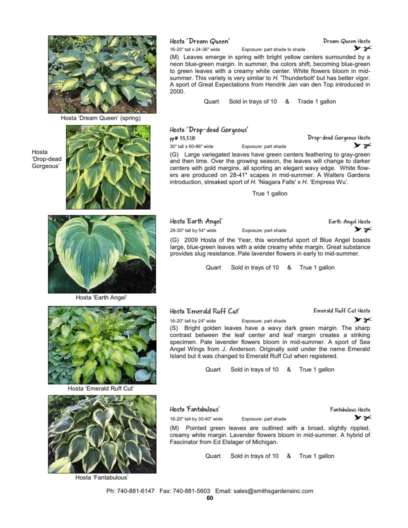 Smith's Gardens Garden Catalog Weekly Ad January 1 - December 31, 2026