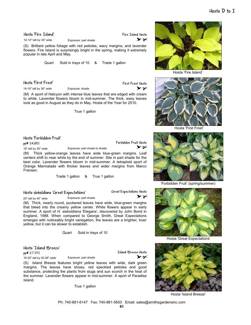 Smith's Gardens Garden Catalog Weekly Ad January 1 - December 31, 2026