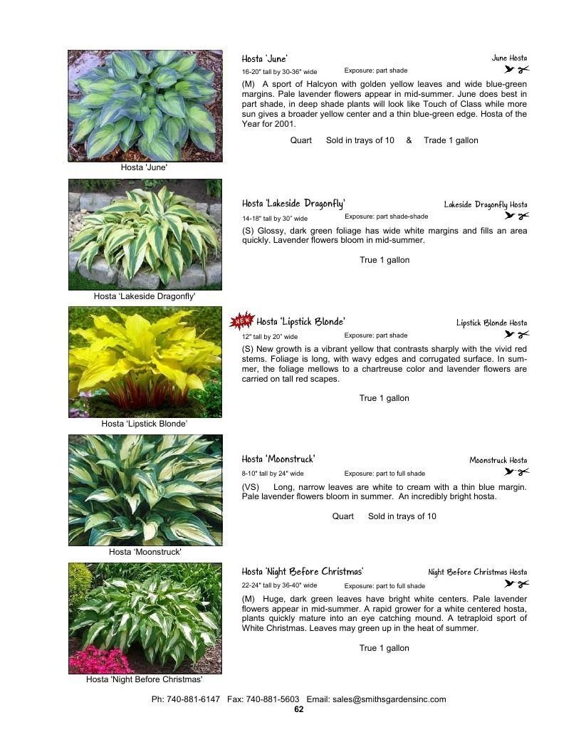 Smith's Gardens Garden Catalog Weekly Ad January 1 - December 31, 2026