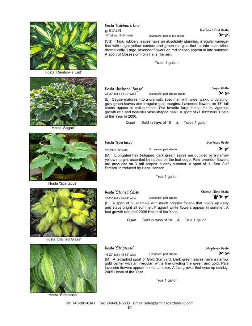 Smith's Gardens Garden Catalog Weekly Ad January 1 - December 31, 2026