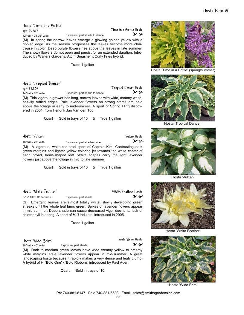 Smith's Gardens Garden Catalog Weekly Ad January 1 - December 31, 2026