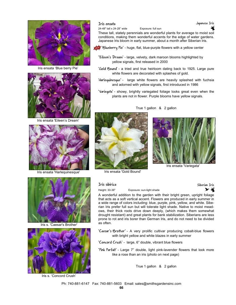Smith's Gardens Garden Catalog Weekly Ad January 1 - December 31, 2026