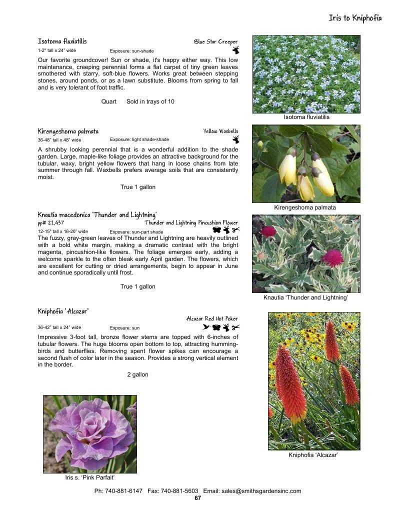 Smith's Gardens Garden Catalog Weekly Ad January 1 - December 31, 2026