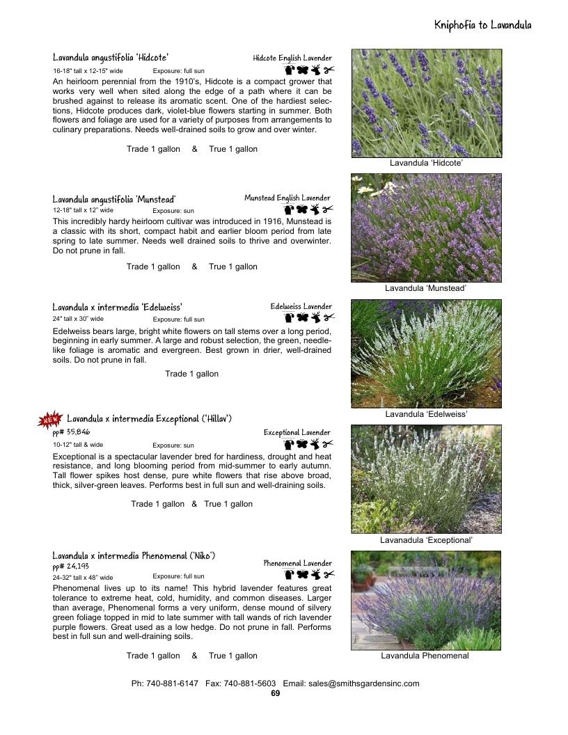 Smith's Gardens Garden Catalog Weekly Ad January 1 - December 31, 2026