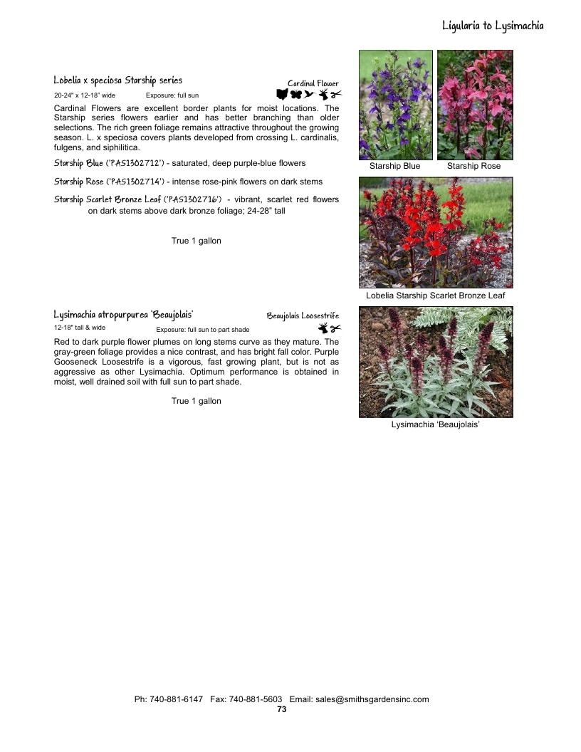 Smith's Gardens Garden Catalog Weekly Ad January 1 - December 31, 2026