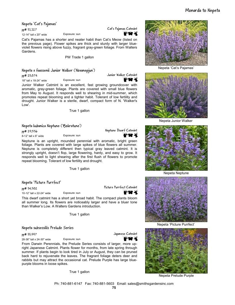 Smith's Gardens Garden Catalog Weekly Ad January 1 - December 31, 2026