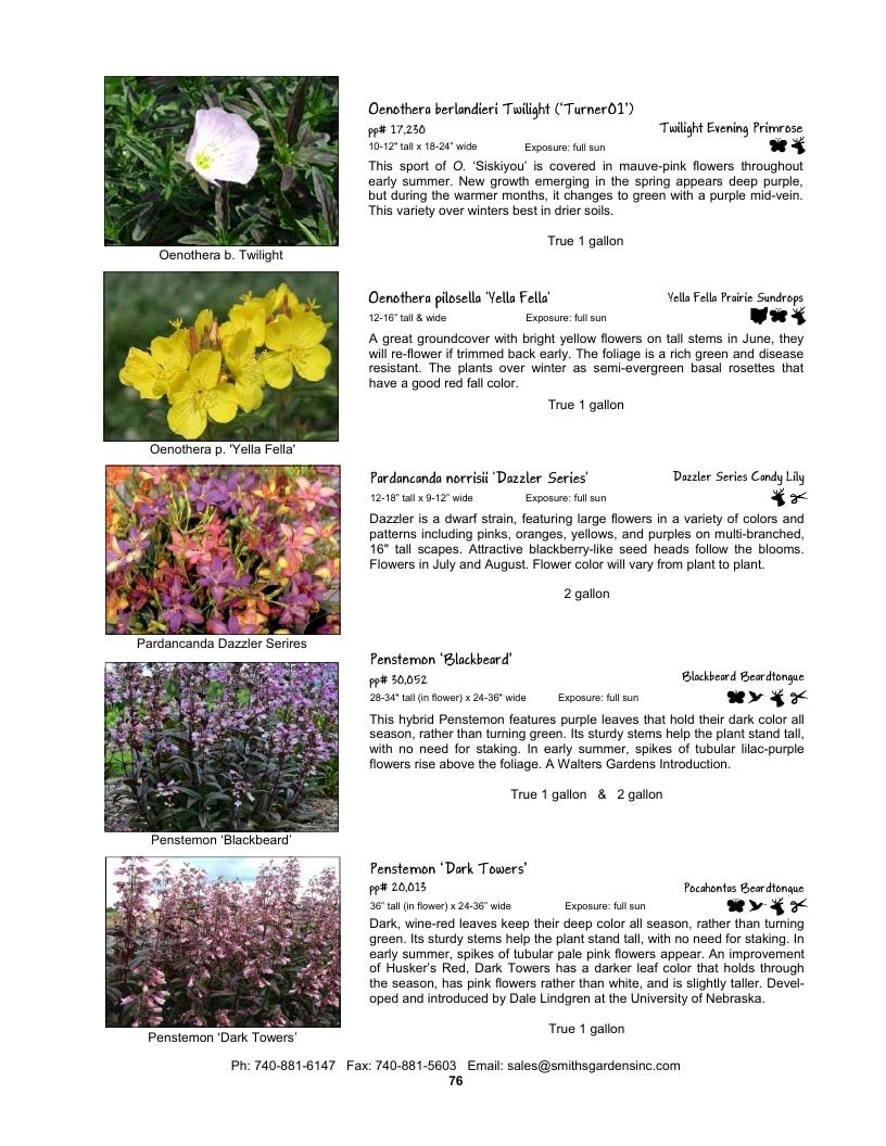 Smith's Gardens Garden Catalog Weekly Ad January 1 - December 31, 2026