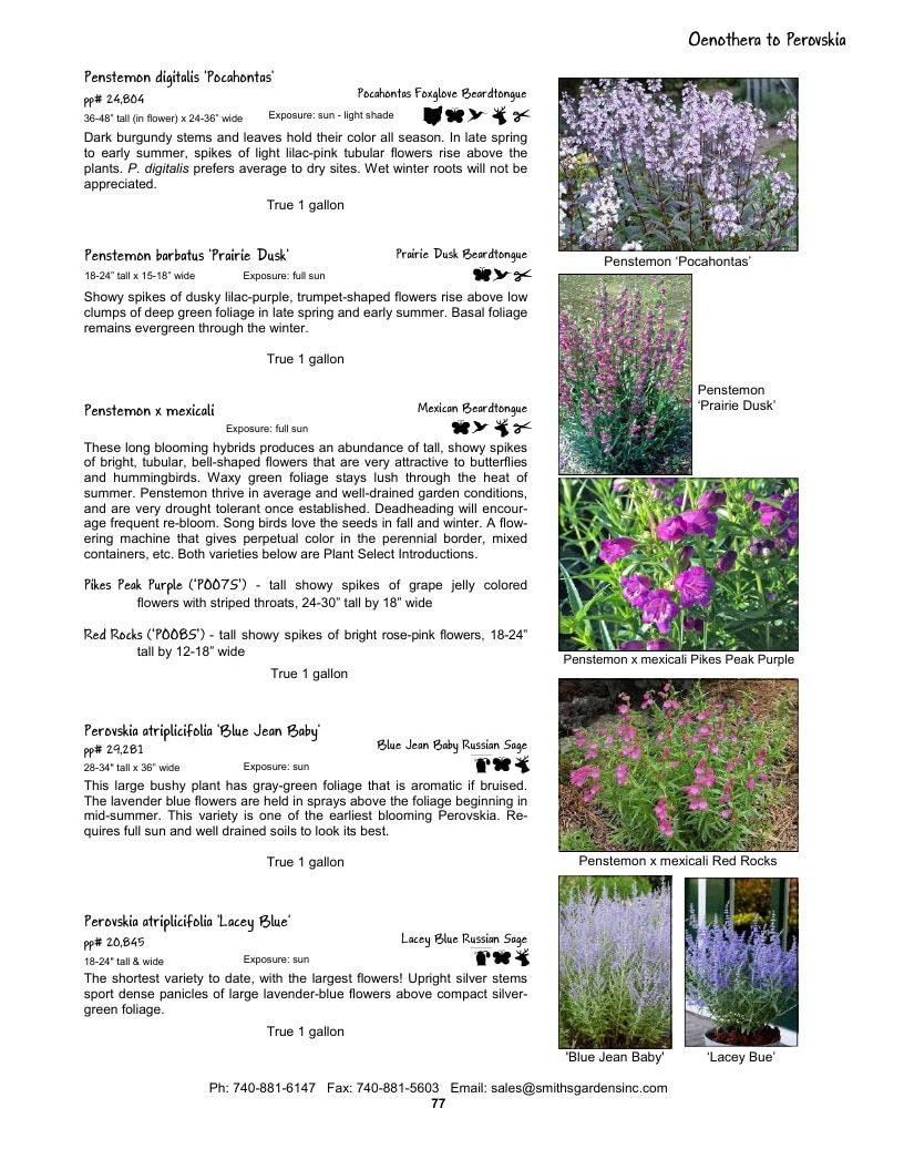 Smith's Gardens Garden Catalog Weekly Ad January 1 - December 31, 2026