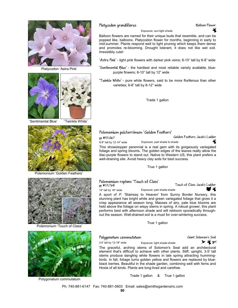Smith's Gardens Garden Catalog Weekly Ad January 1 - December 31, 2026