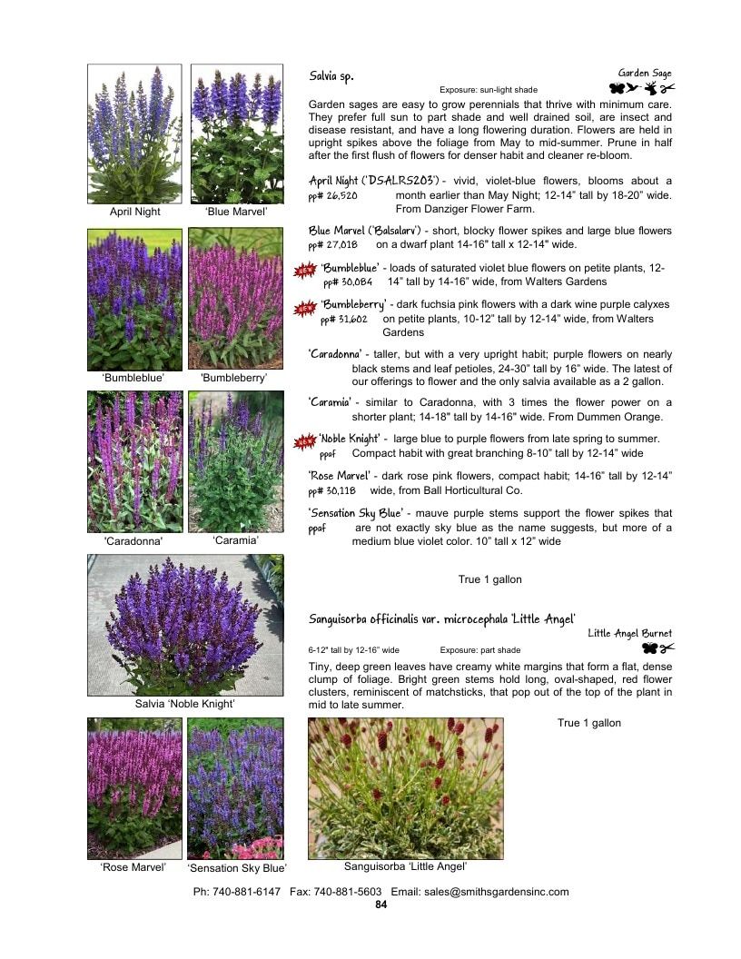 Smith's Gardens Garden Catalog Weekly Ad January 1 - December 31, 2026