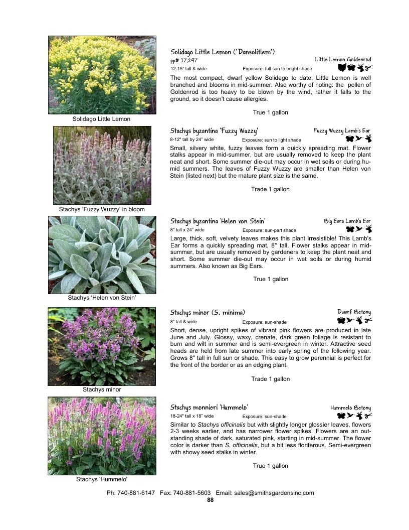 Smith's Gardens Garden Catalog Weekly Ad January 1 - December 31, 2026