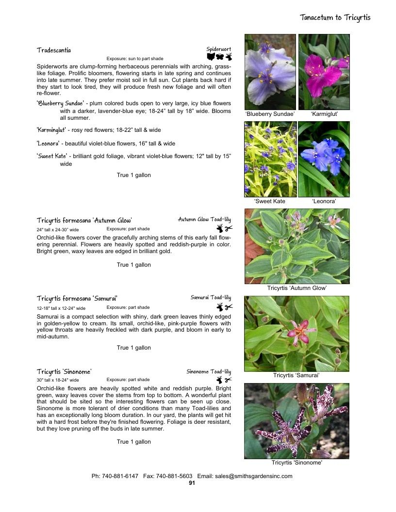 Smith's Gardens Garden Catalog Weekly Ad January 1 - December 31, 2026