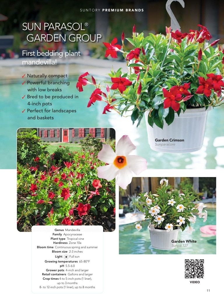 Suntory Flowers Flowers Catalog Weekly Ad August 1, 2026 - December 31, 2027