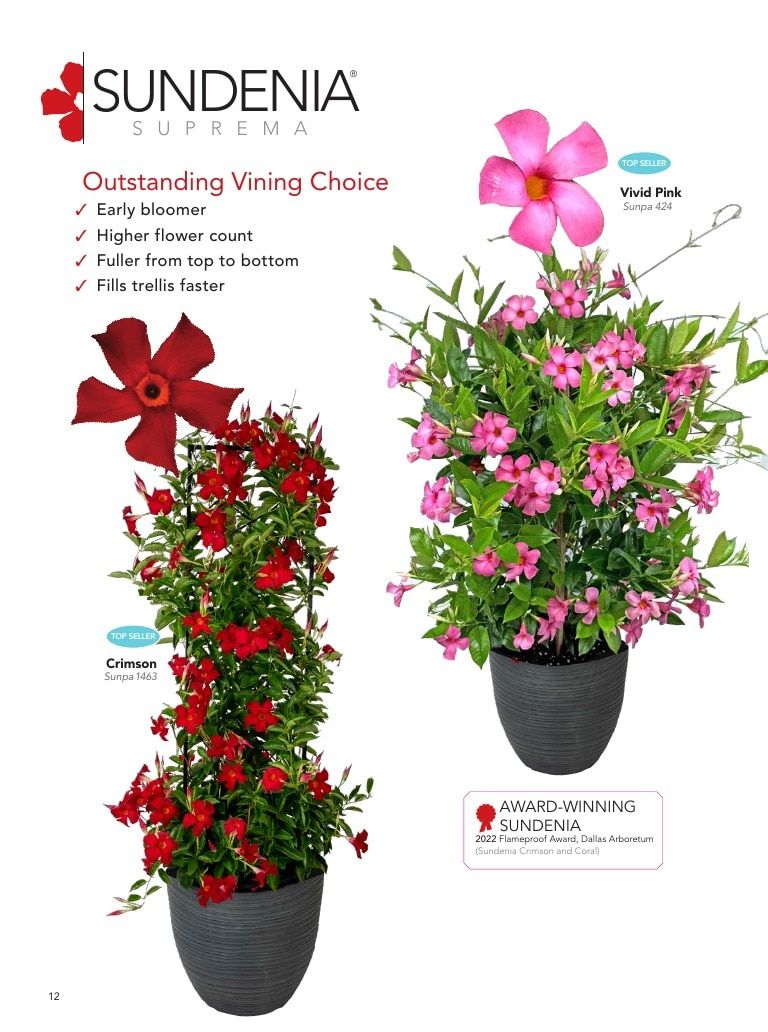 Suntory Flowers Flowers Catalog Weekly Ad August 1, 2026 - December 31, 2027