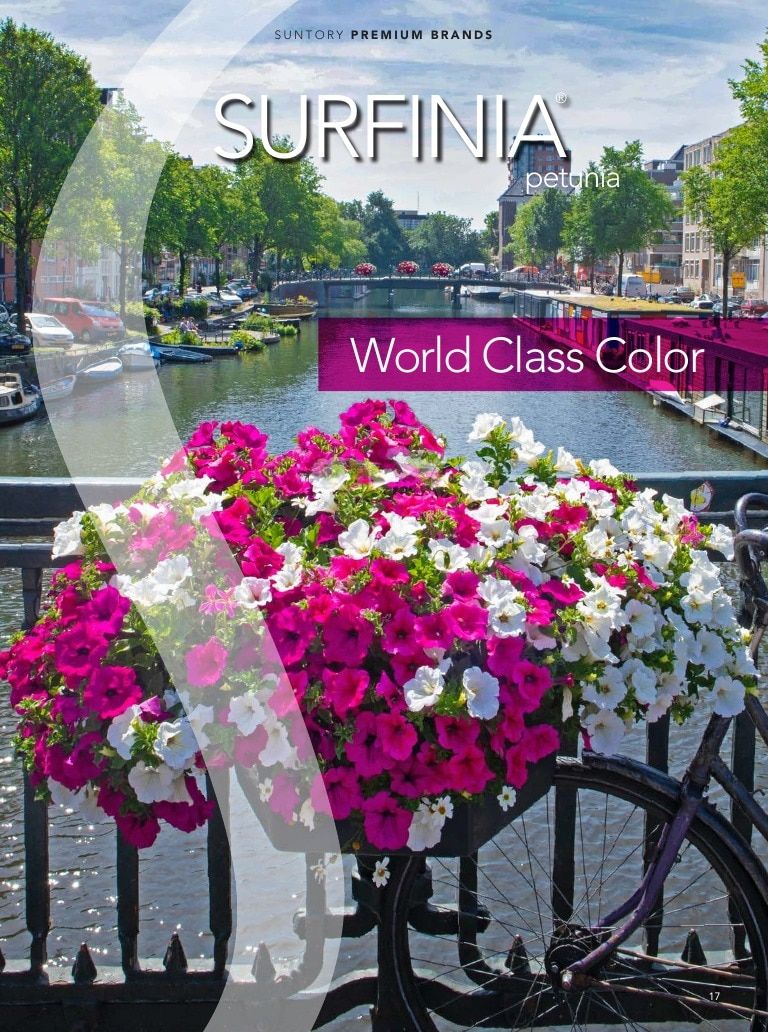 Suntory Flowers Flowers Catalog Weekly Ad August 1, 2026 - December 31, 2027