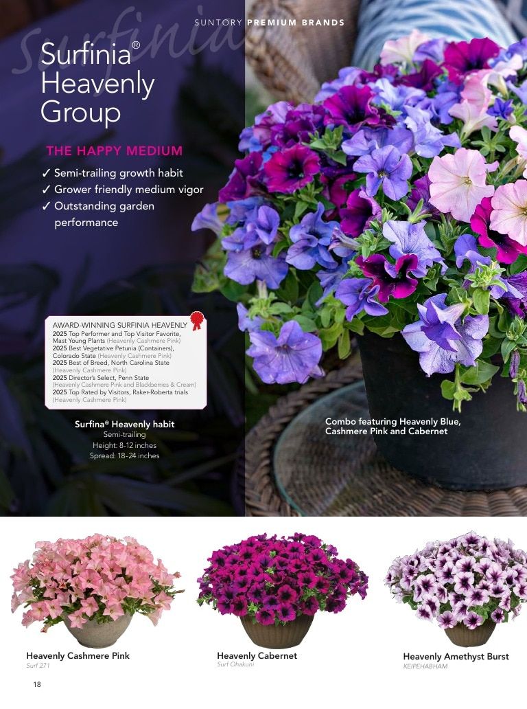 Suntory Flowers Flowers Catalog Weekly Ad August 1, 2026 - December 31, 2027