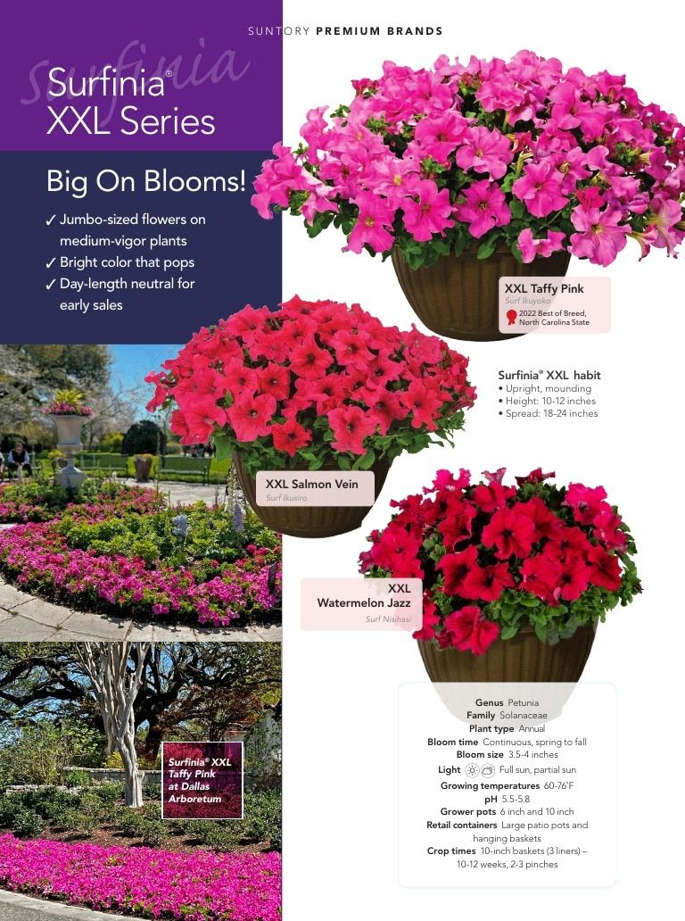 Suntory Flowers Flowers Catalog Weekly Ad August 1, 2026 - December 31, 2027