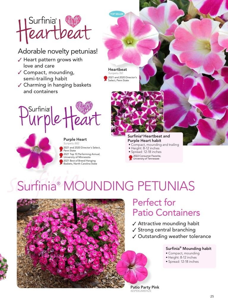 Suntory Flowers Flowers Catalog Weekly Ad August 1, 2026 - December 31, 2027