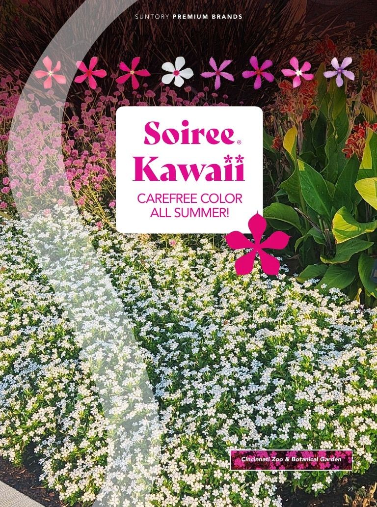 Suntory Flowers Flowers Catalog Weekly Ad August 1, 2026 - December 31, 2027