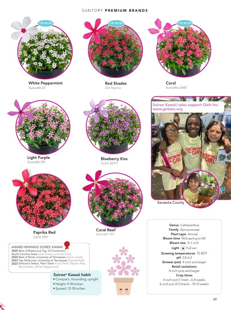 Suntory Flowers Flowers Catalog Weekly Ad August 1, 2026 - December 31, 2027