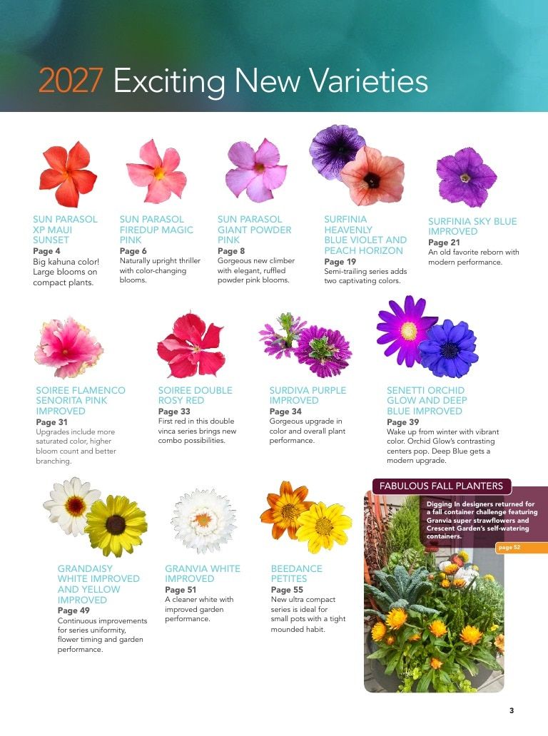 Suntory Flowers Flowers Catalog Weekly Ad August 1, 2026 - December 31, 2027