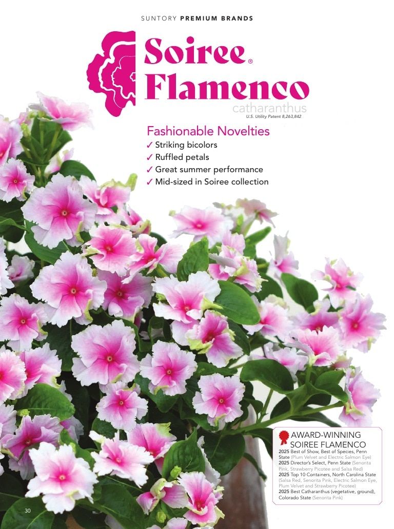 Suntory Flowers Flowers Catalog Weekly Ad August 1, 2026 - December 31, 2027