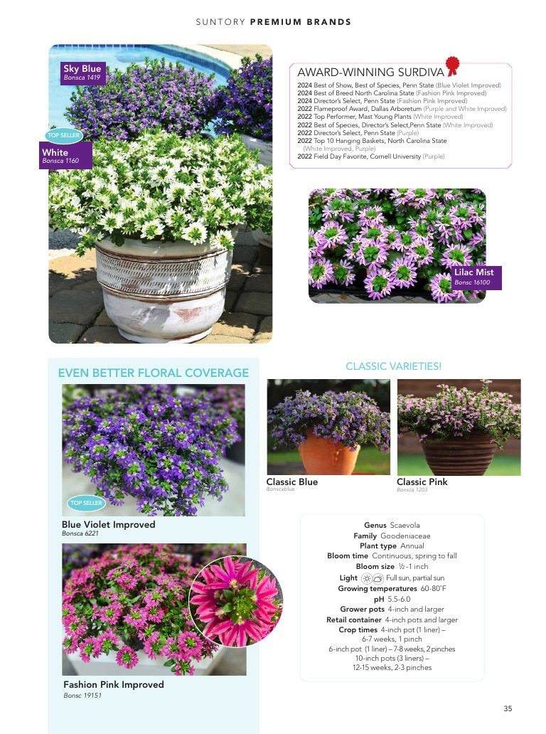 Suntory Flowers Flowers Catalog Weekly Ad August 1, 2026 - December 31, 2027