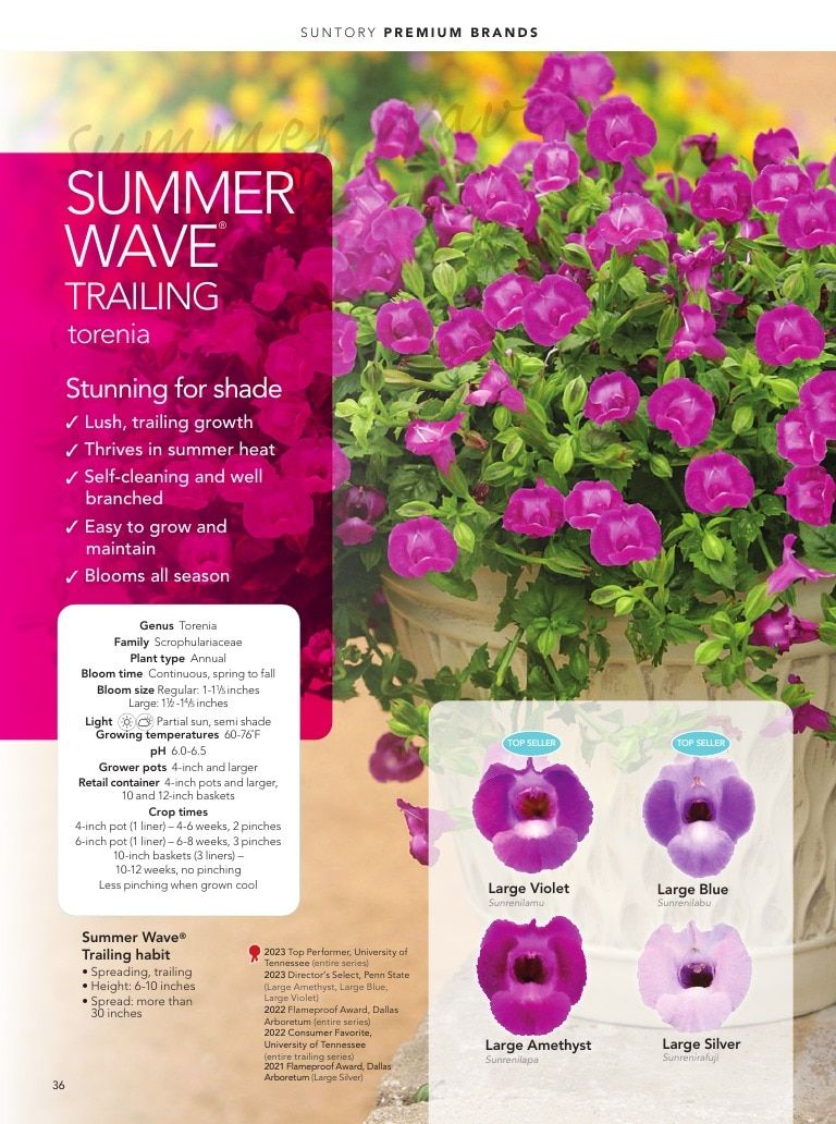 Suntory Flowers Flowers Catalog Weekly Ad August 1, 2026 - December 31, 2027