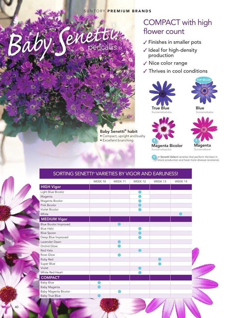 Suntory Flowers Flowers Catalog Weekly Ad August 1, 2026 - December 31, 2027