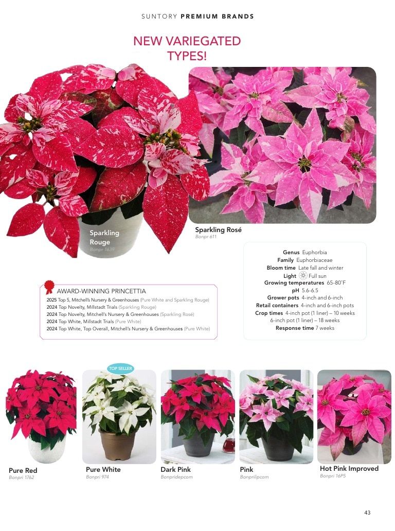 Suntory Flowers Flowers Catalog Weekly Ad August 1, 2026 - December 31, 2027