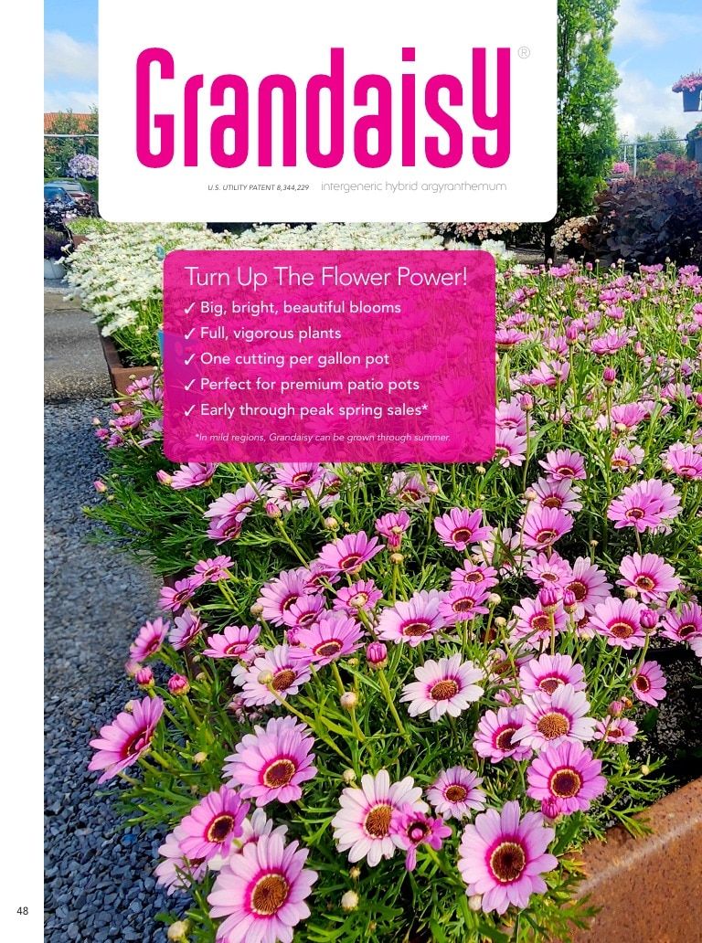 Suntory Flowers Flowers Catalog Weekly Ad August 1, 2026 - December 31, 2027