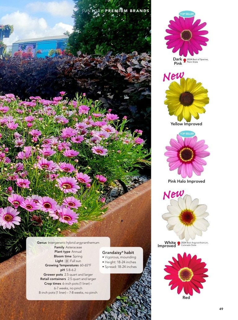 Suntory Flowers Flowers Catalog Weekly Ad August 1, 2026 - December 31, 2027