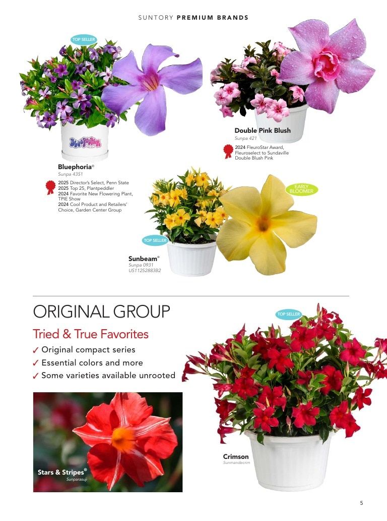 Suntory Flowers Flowers Catalog Weekly Ad August 1, 2026 - December 31, 2027