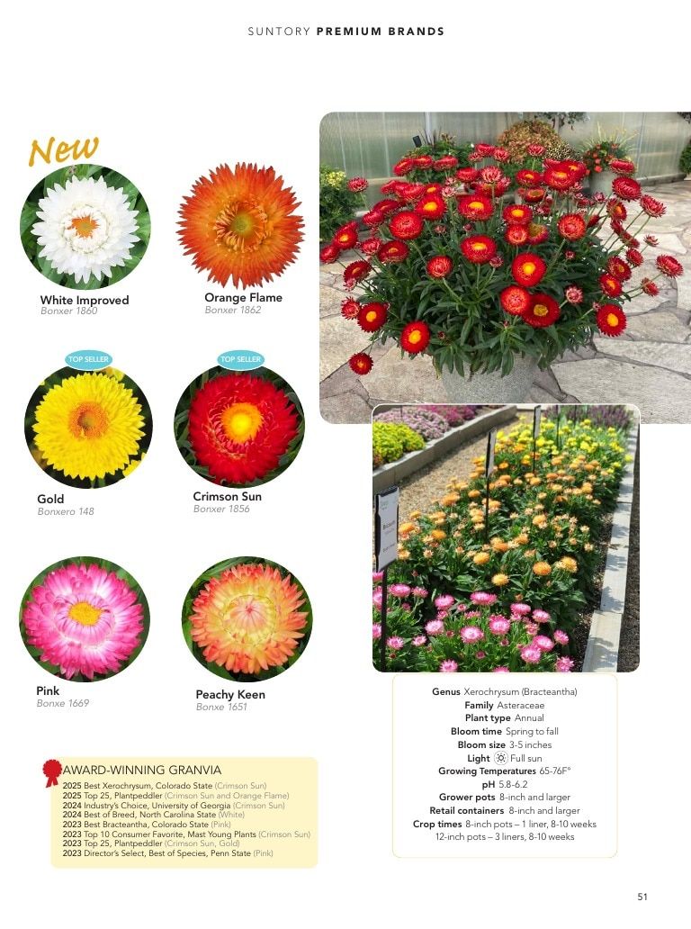 Suntory Flowers Flowers Catalog Weekly Ad August 1, 2026 - December 31, 2027
