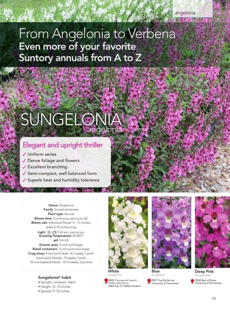Suntory Flowers Flowers Catalog Weekly Ad August 1, 2026 - December 31, 2027