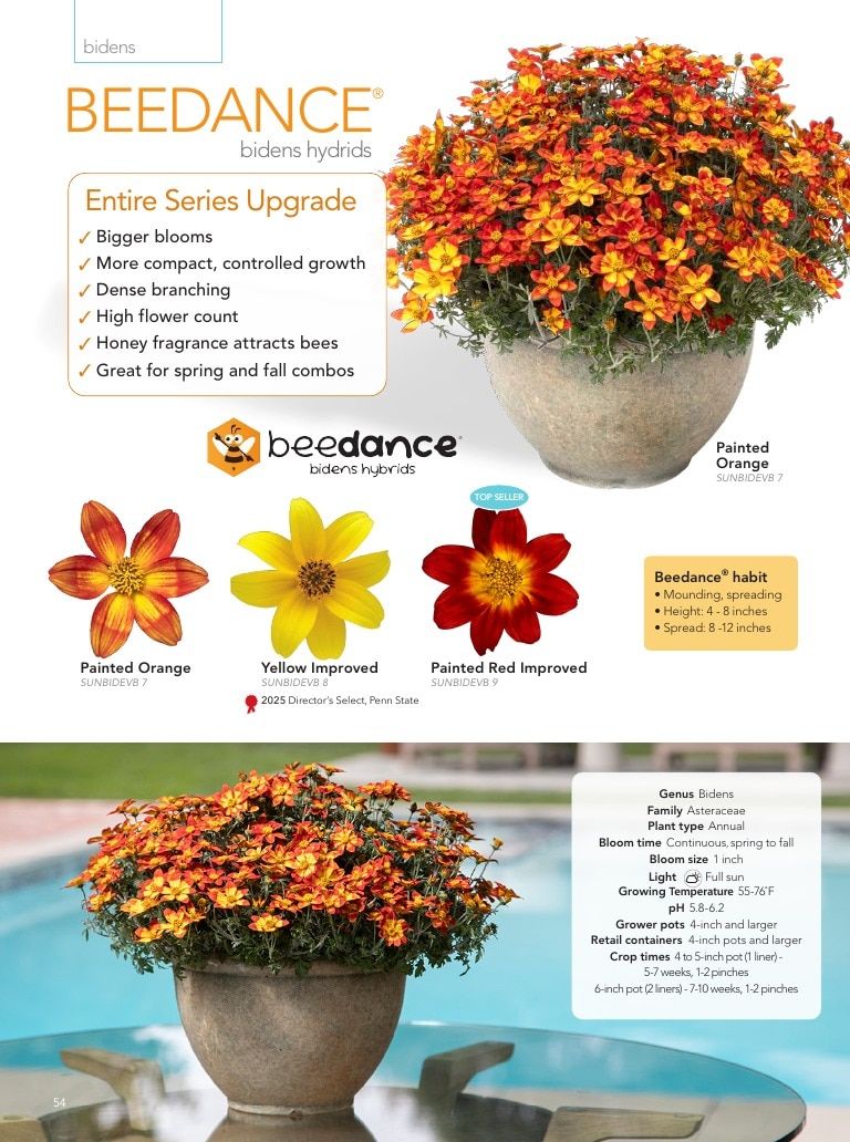 Suntory Flowers Flowers Catalog Weekly Ad August 1, 2026 - December 31, 2027