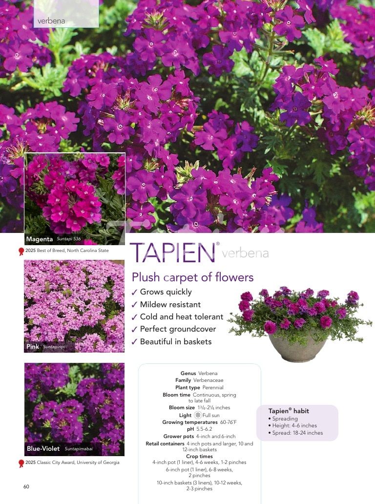 Suntory Flowers Flowers Catalog Weekly Ad August 1, 2026 - December 31, 2027