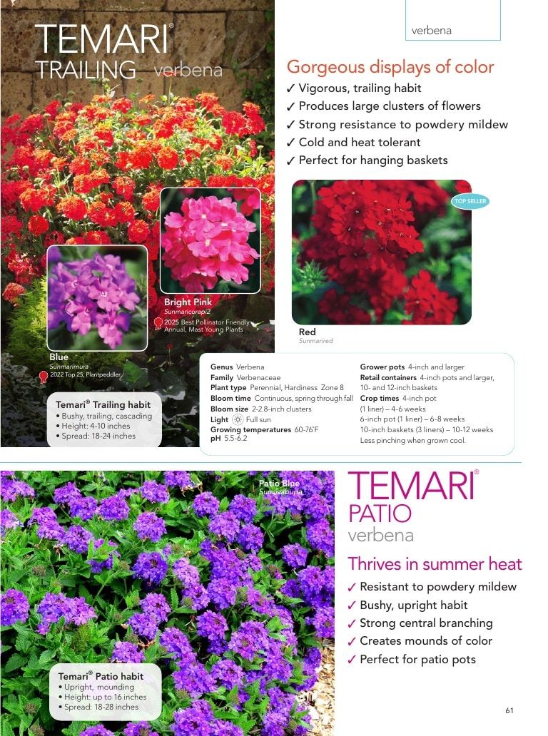 Suntory Flowers Flowers Catalog Weekly Ad August 1, 2026 - December 31, 2027