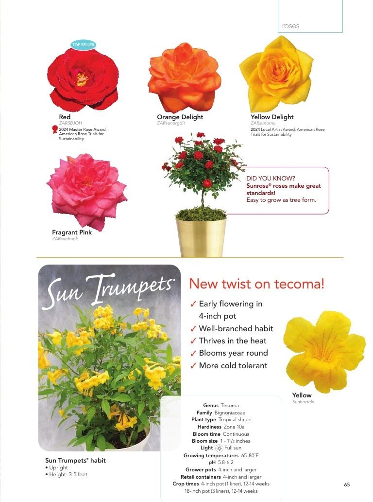 Suntory Flowers Flowers Catalog Weekly Ad August 1, 2026 - December 31, 2027