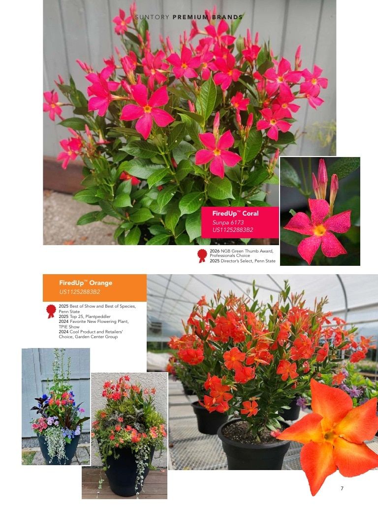 Suntory Flowers Flowers Catalog Weekly Ad August 1, 2026 - December 31, 2027