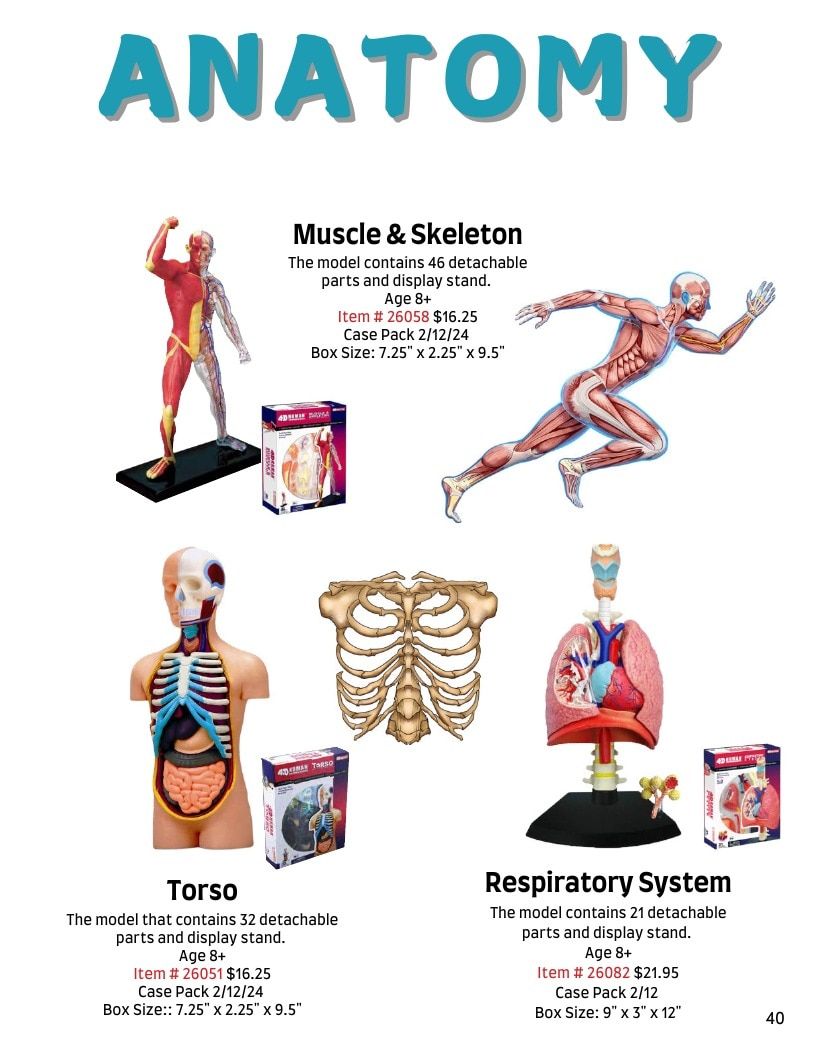 TEDCO Toys Annual Science Toys Catalog Weekly Ad January 1 - December 31, 2026