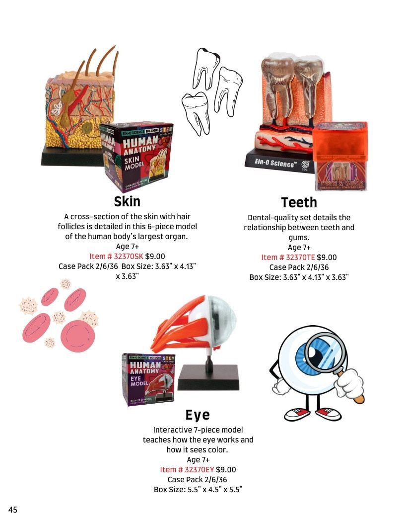 TEDCO Toys Annual Science Toys Catalog Weekly Ad January 1 - December 31, 2026