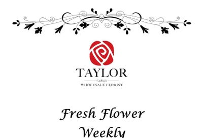 Taylor Wholesale Florist Fall Floral Catalog Weekly Ad January 1 - December 31, 2026