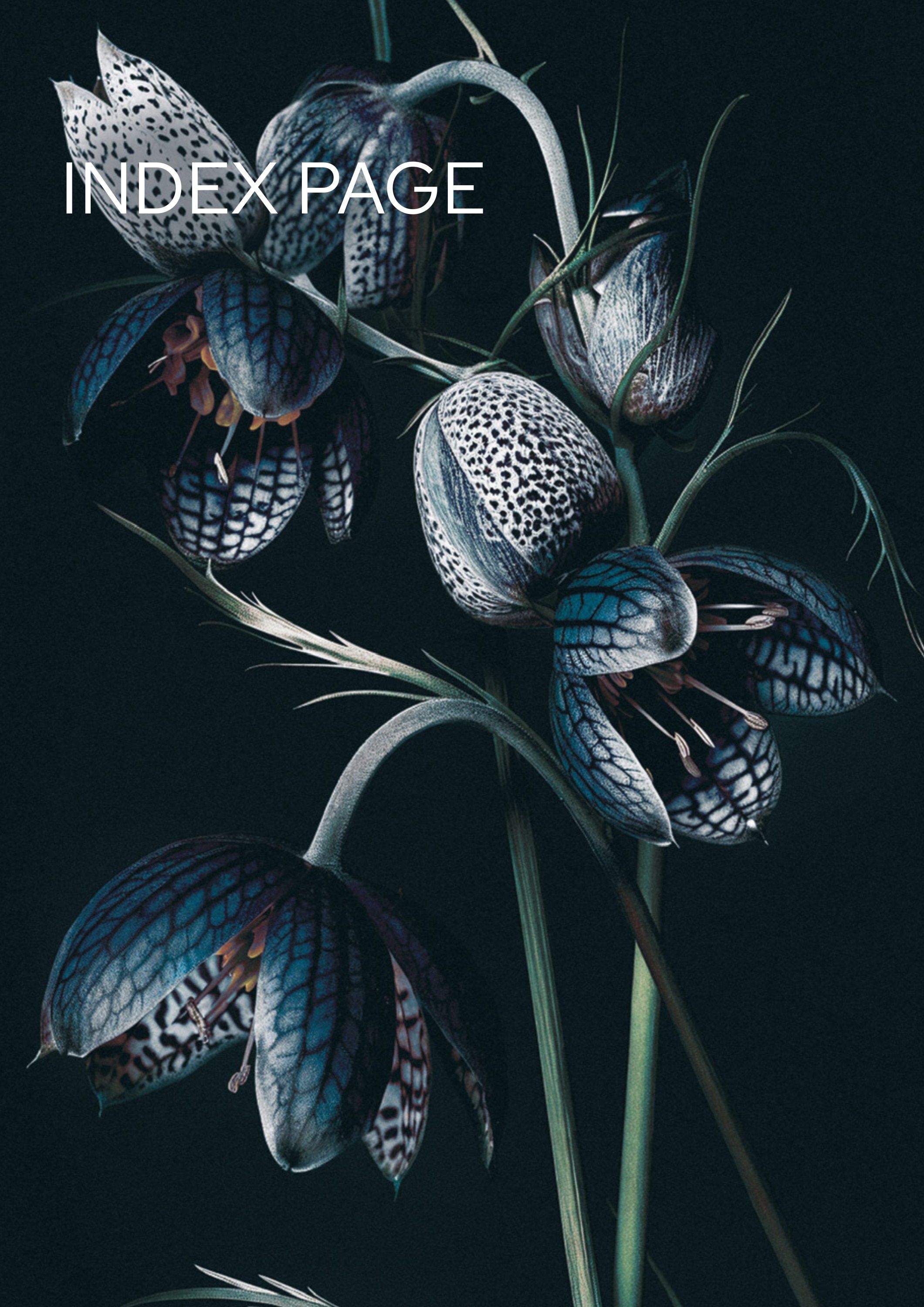 TAU Manufacturing Planters Catalog Weekly Ad January 1 - December 31, 2026