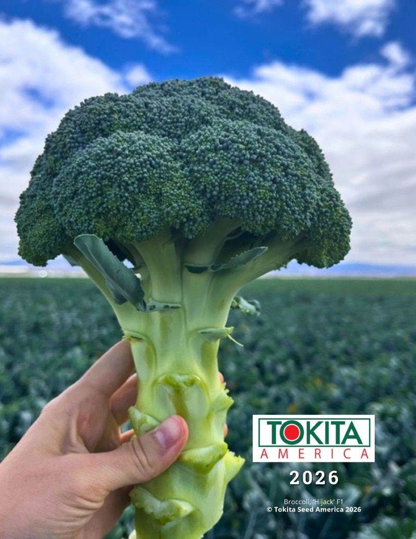 Tokita Seed America Seed Catalog Weekly Ad January 1 - December 31, 2026