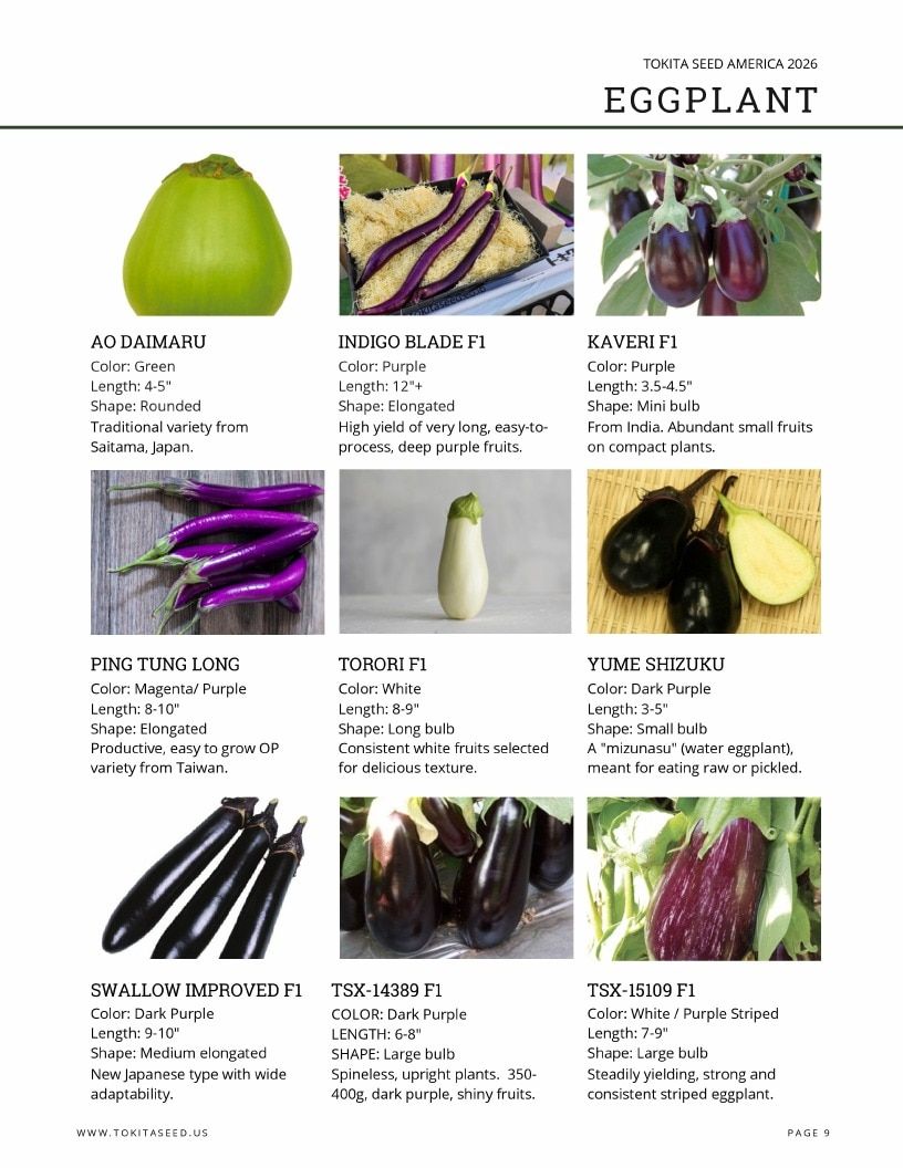 Tokita Seed America Seed Catalog Weekly Ad January 1 - December 31, 2026