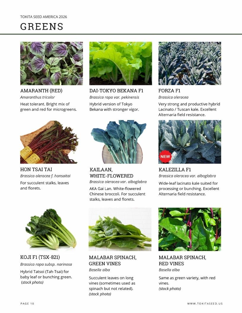 Tokita Seed America Seed Catalog Weekly Ad January 1 - December 31, 2026