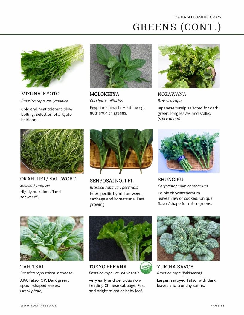 Tokita Seed America Seed Catalog Weekly Ad January 1 - December 31, 2026