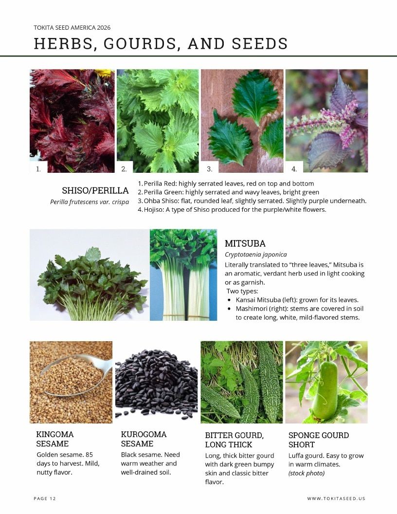 Tokita Seed America Seed Catalog Weekly Ad January 1 - December 31, 2026